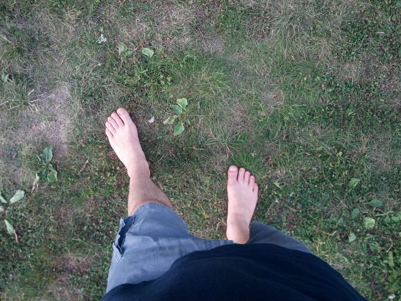 Bare feet walking on grass